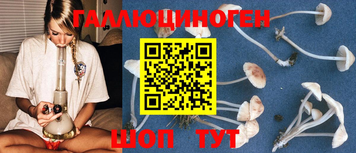 Псилоцибиновые грибы GOLDEN TEACHER Тутаев
