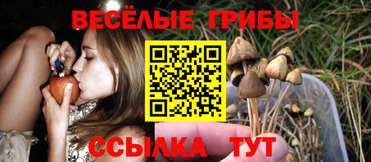 Тутаев  Галлюциногенные грибы GOLDEN TEACHER  Вход с VPN 